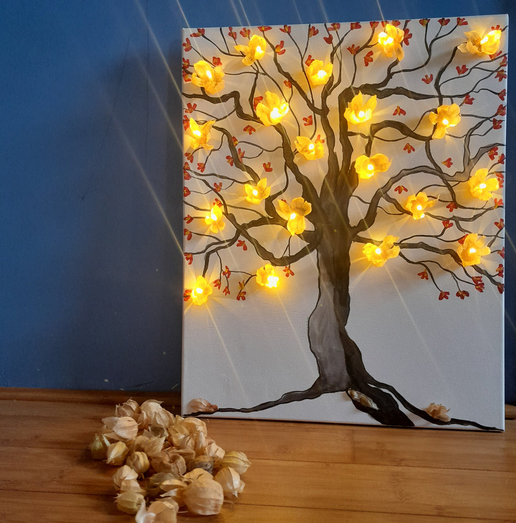 Lueur des Physalis