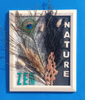 Nature en plume claire